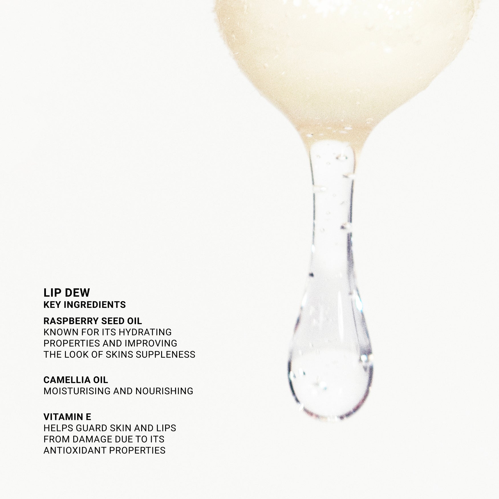 VIEVE Lip Dew Lip gloss socialite-9