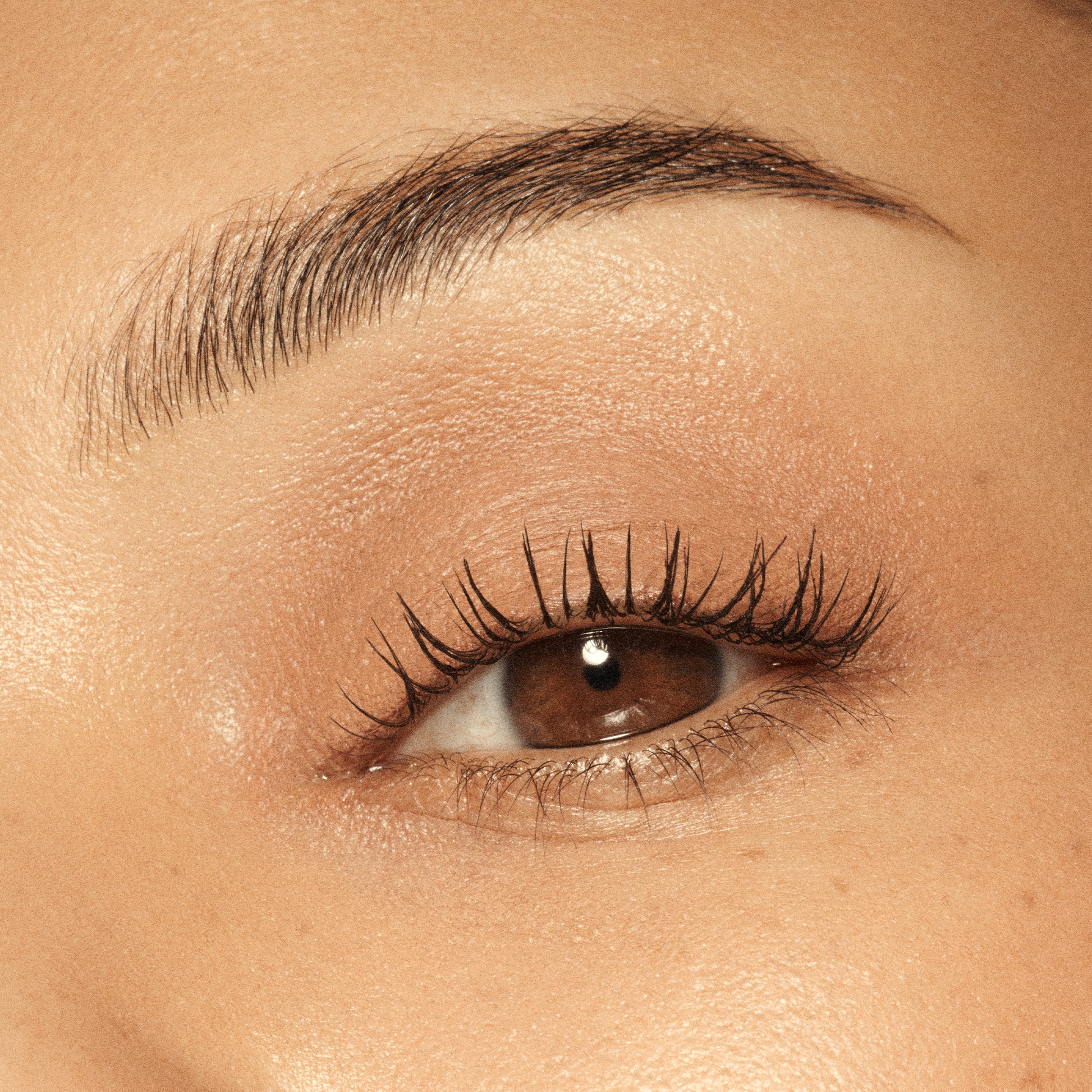 VIEVE THE EYECONIC DUO KIT bundle vieve-eyeconic-mascara-eyeshowdow-stick-duo-7