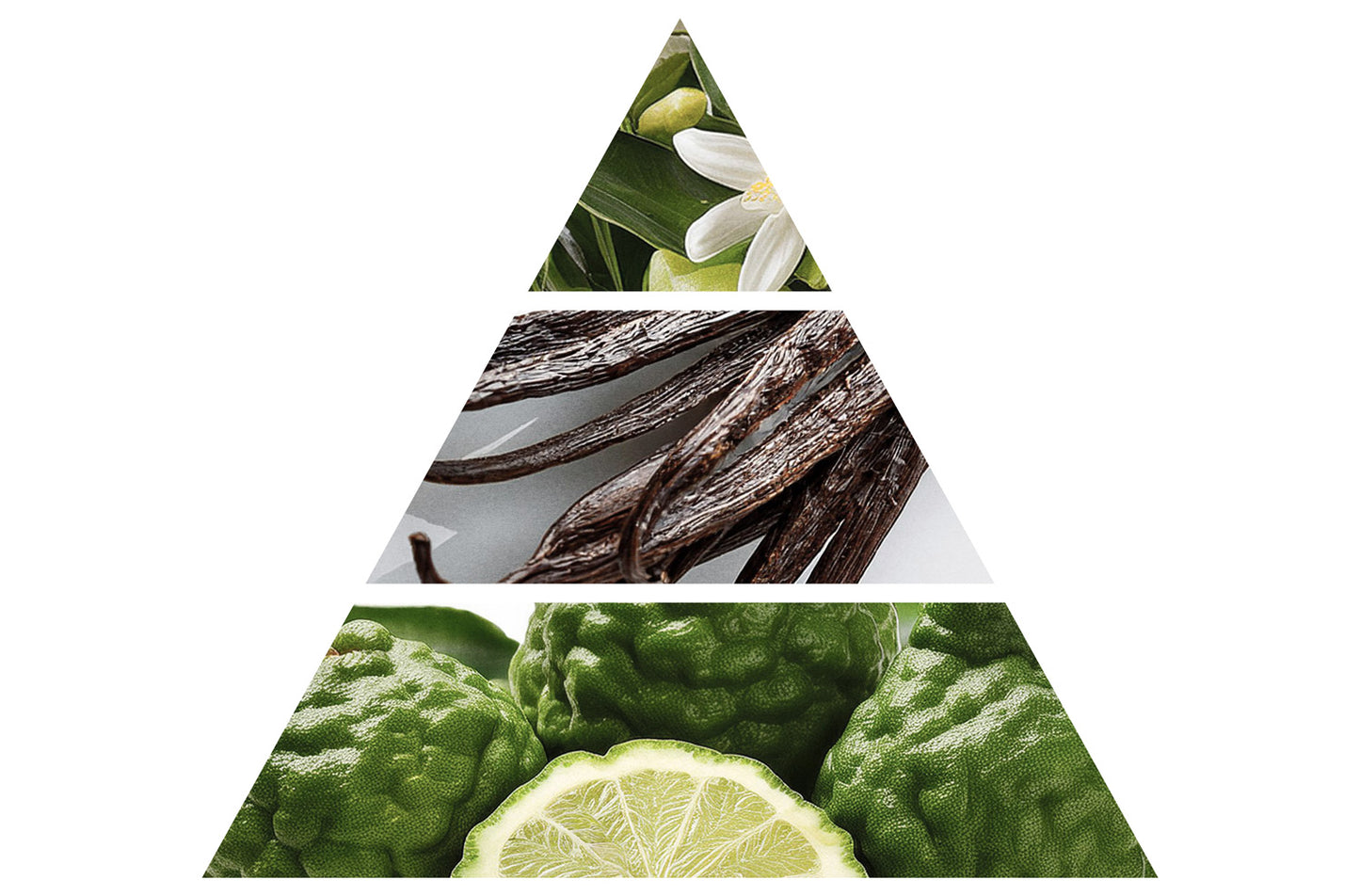 VIEVE The Nova Candle Bathleisure™ Nova-candle-scent-pyramid-50-50