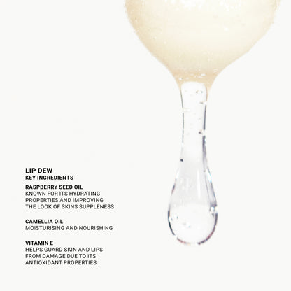 VIEVE Lip Dew Lip gloss socialite-9