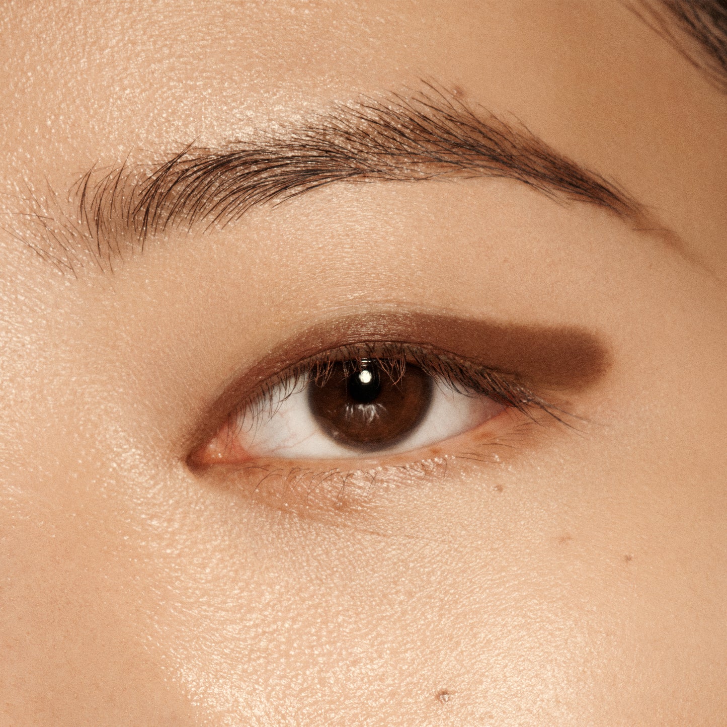 VIEVE Eye Wand Eyeshadow vieve-coffee-brown-eyeshadow-stick-4