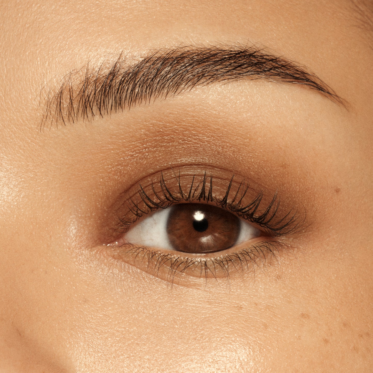 VIEVE Eye Wand Eyeshadow vieve-coffee-brown-eyeshadow-stick-5