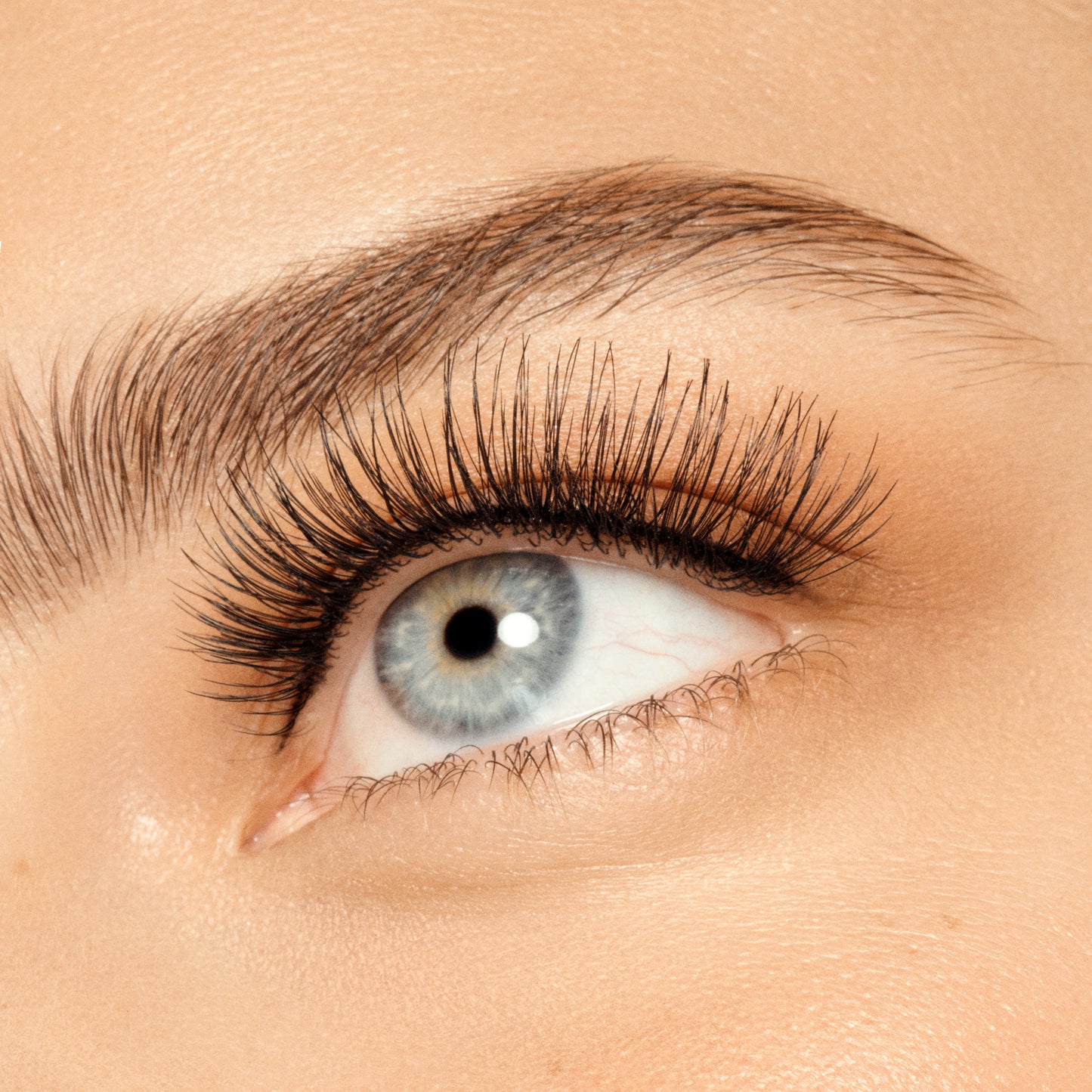 VIEVE Full Lash Lashes vieve-everyday-false-eyelashes-2