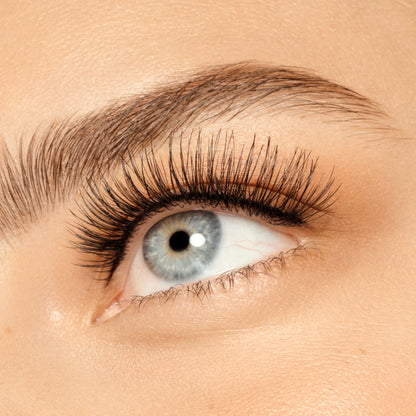 VIEVE Full Lash Lashes vieve-everyday-false-eyelashes-2