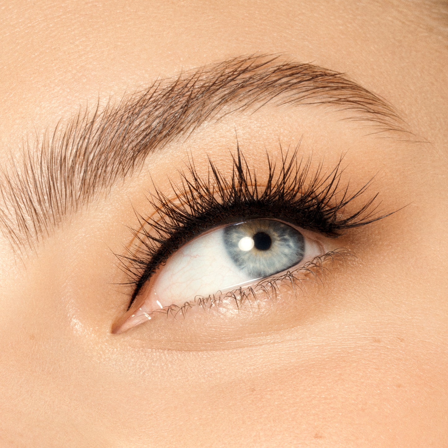 VIEVE Full Lash Lashes vieve-lift-strip-lashes-2