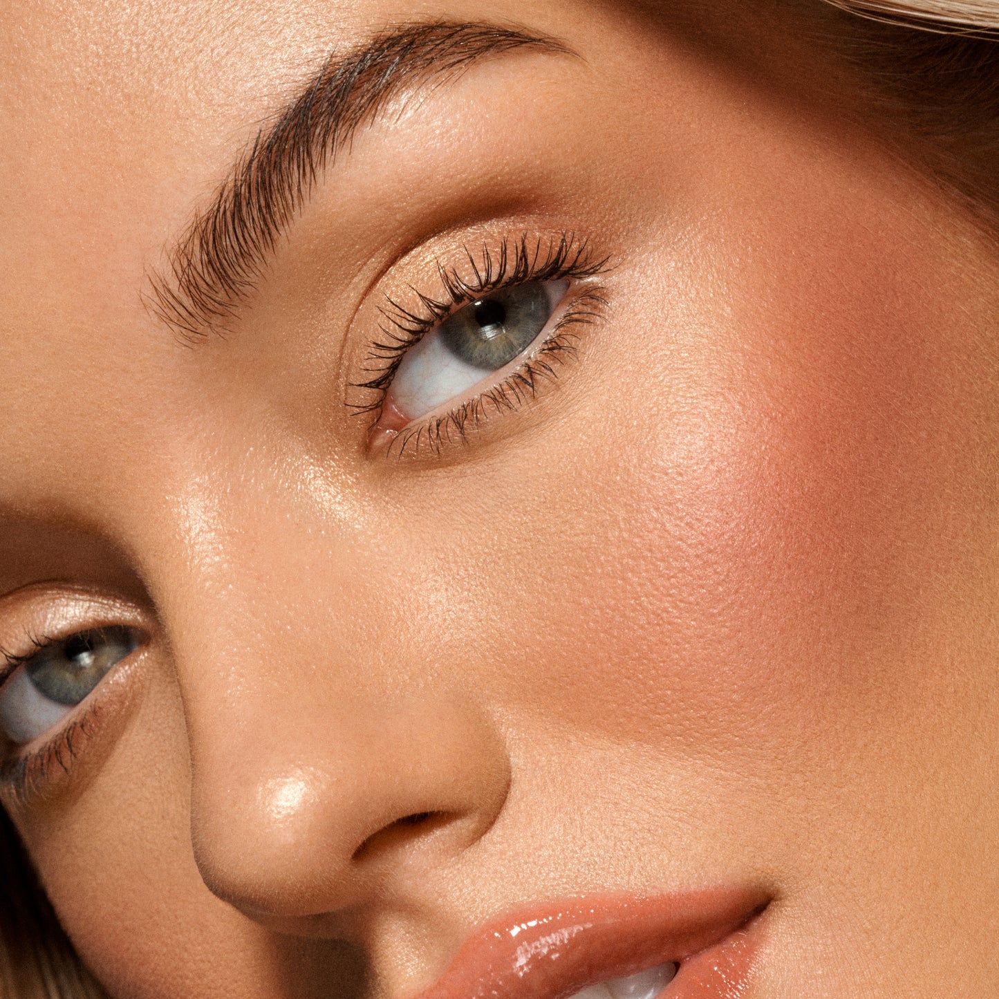 VIEVE Sunset Blush Blush vieve-malbec-sunset-purple-blush-3