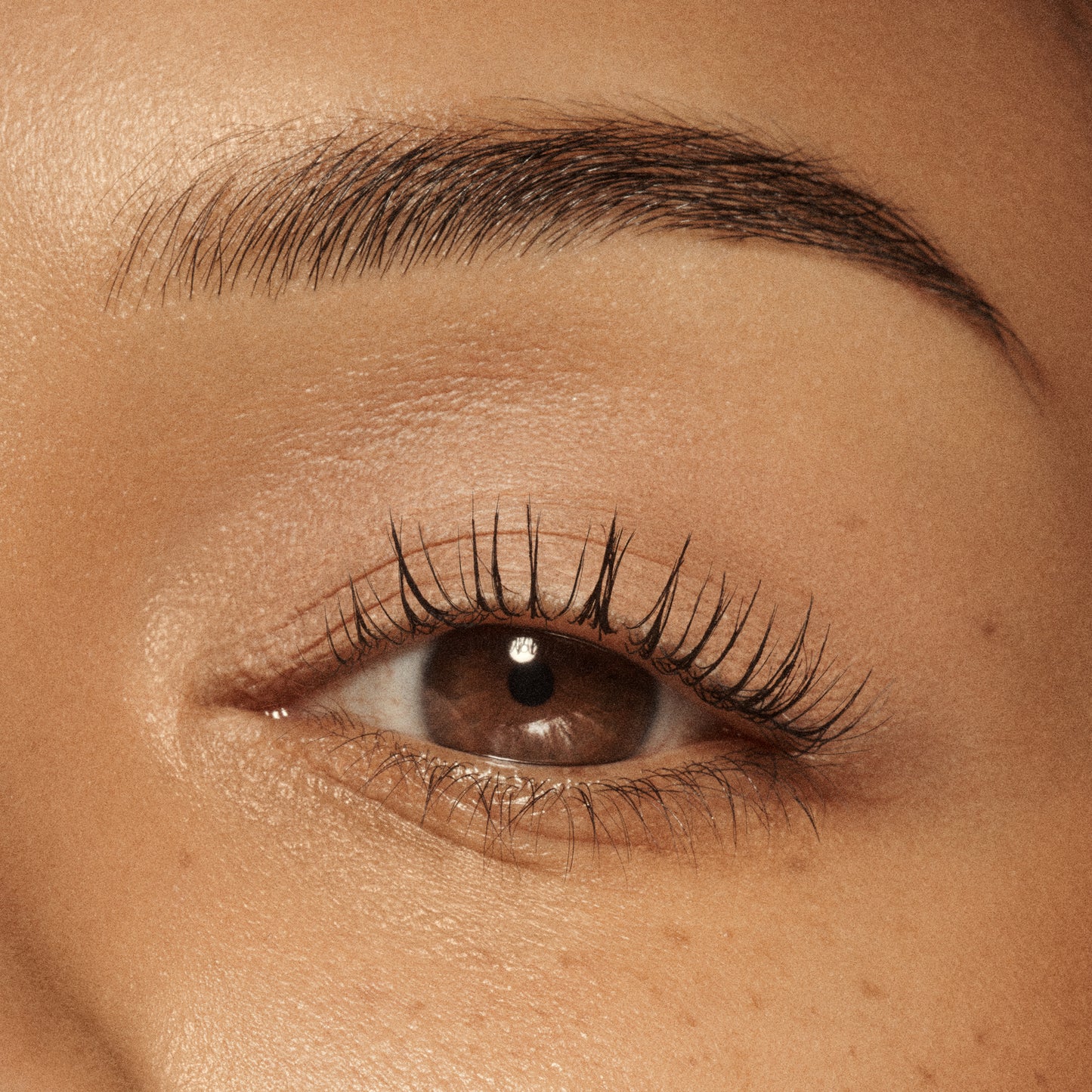 VIEVE Eye Wand Eyeshadow vieve-sand-pink-eyeshadow-stick-5